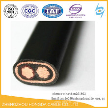 Cable concéntrico de conductor aislado PVC AL / CU 3x6